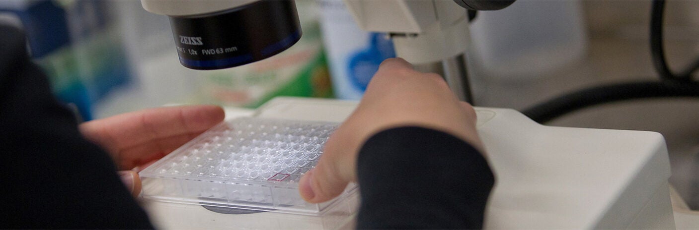 hands positioning a container beneath a microscope